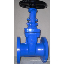 Rising Stem Gate Valve